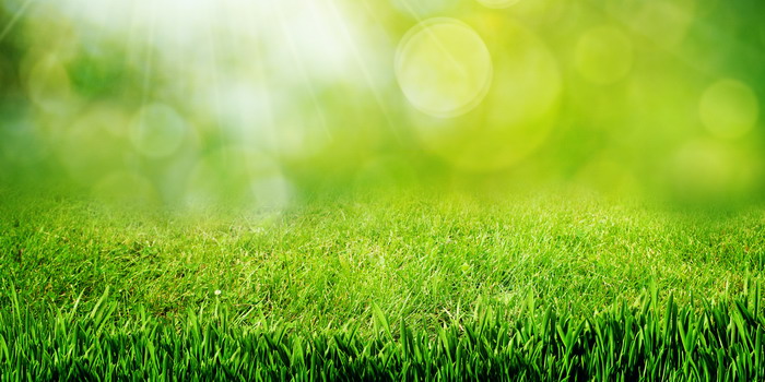 Nature_700x350