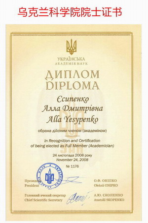 Diplom_1_300